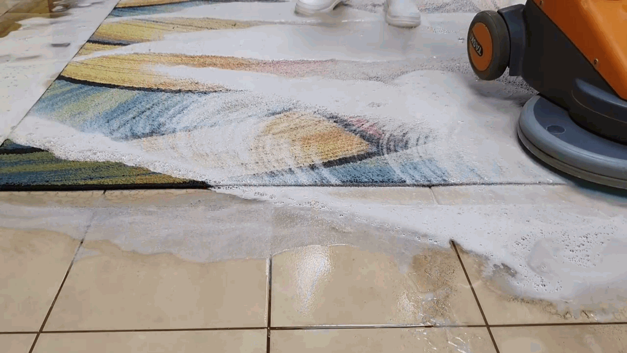 limpieza industrial de alfombras aviles 