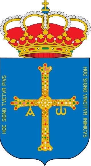 empresa de limpieza de alfombras Gobierno del Principado de Asturias